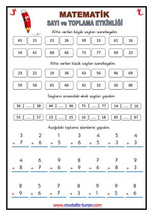 Sayı İşlemleri ve Toplama Etkinliği