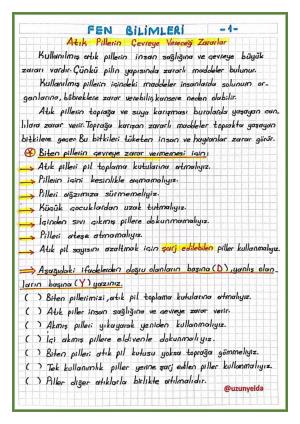 3. Sınıf 32. Hafta Etkinlikleri