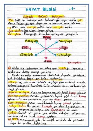 3. Sınıf 32. Hafta Etkinlikleri