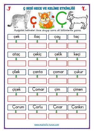 Ç-ç Sesi İlk Okuma Yazma Etkinlikleri