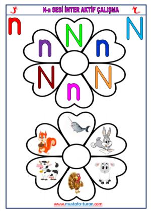 N - n Sound First Reading and Writing Activities