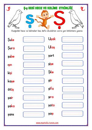 Ş-ş Sesi İlk Okuma Yazma Etkinlikleri