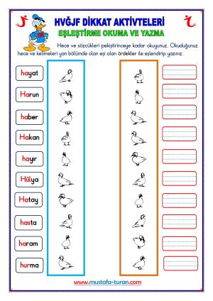 5. Grup HVĞJF  Harfleri Dikkat Aktivitleri ve Pekiştireç Uygulama Sınavları