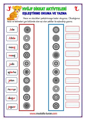 5. Grup HVĞJF  Harfleri Dikkat Aktivitleri ve Pekiştireç Uygulama Sınavları
