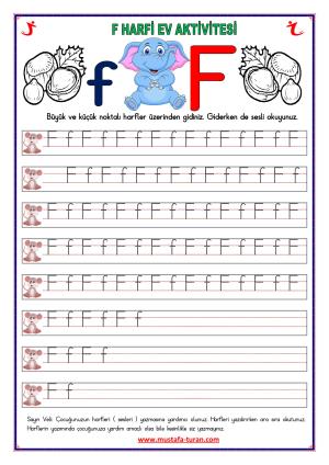 F - f أنشطة القراءة والكتابة الصوتية الأولى