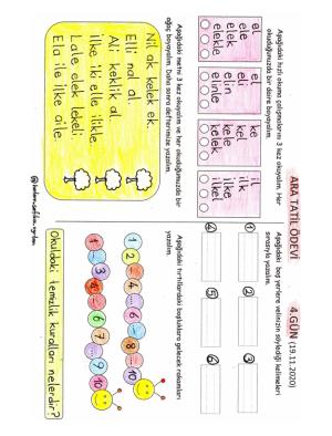 1. Sınıf Ara Tatil Ödevleri Renkli