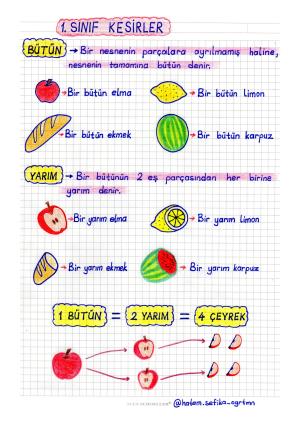 1. Sınıf Kesirler Konu Anlatımı