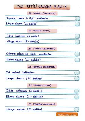 1. Sınıf Yaz Tatili Esnek Çalışma Planları