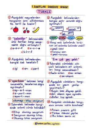 1. Sınıflar Deneme Sınavı