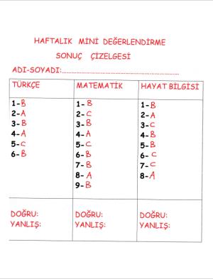 Haftalık Mini Değerlendirme -1