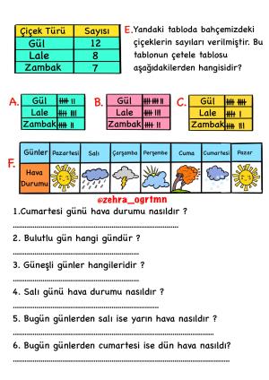 Veri Toplama ve Değerlendirme Etkinlikleri