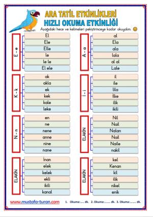 1st Grade 1st Midterm Break Activities and Studies