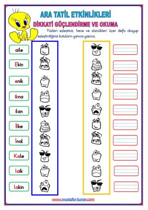 1st Grade 1st Midterm Break Activities and Studies