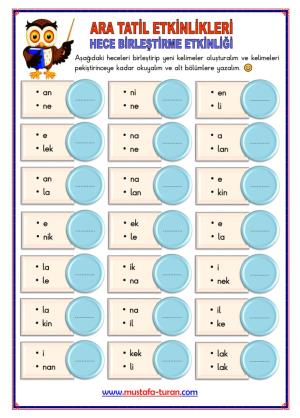 1st Grade 1st Midterm Break Activities and Studies