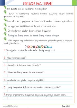 1. Sınıf Tatil Kitabı Etkinlikleri (Pdf)