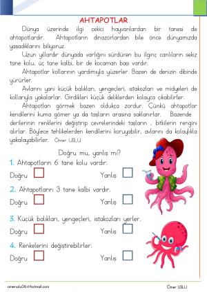 1. Sınıf Tatil Kitabı Etkinlikleri (Pdf)