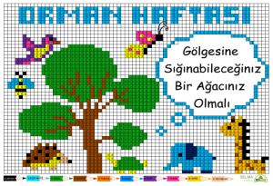 Orman Haftası Kodlama Etkinliği 