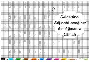 Orman Haftası Kodlama Etkinliği 