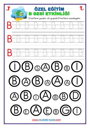 Özel Eğitim B-b Harfi Etkinlikleri