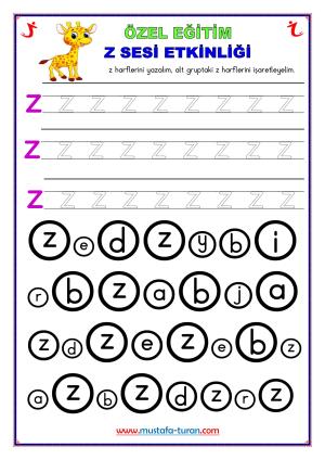 Special Education Letter Z-z Activities