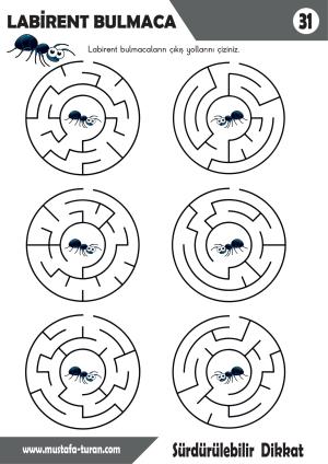 Özel Eğitim Labirent Bulmaca Etkinlikleri-31