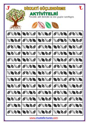 Dikkati Güçlendirme Aktiviteleri-355