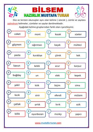 BİLSEM Palindrom Kelime Etkinlikleri-70