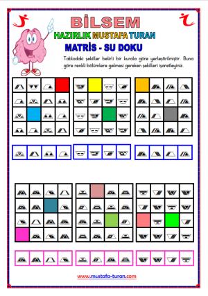 BİLSEM Matris- Su Doku Etkinlikleri