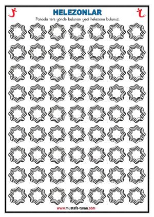 Spirals and Cyclic Shape Activities