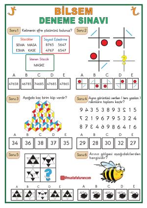 BİLSEM'e Hazırlık Deneme Sınavı-28