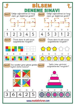 BİLSEM'e Hazırlık Deneme Sınavı-28