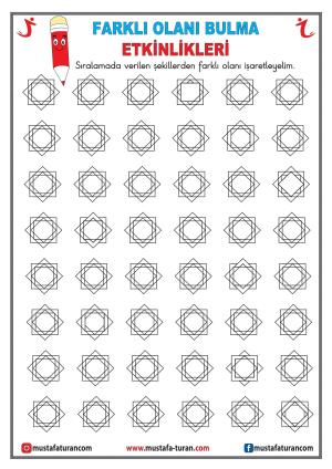 Finding What's Different Activity-20