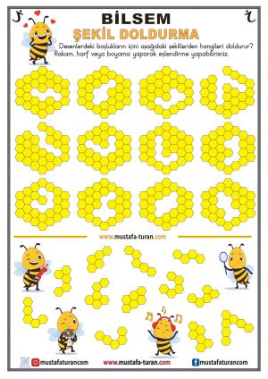 Actividades de relleno de formas BİLSEM-32