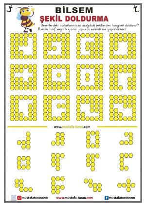 BİLSEM Shape Filling Activities-38