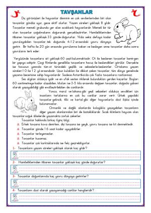 2nd Grade Reading Comprehension Activities