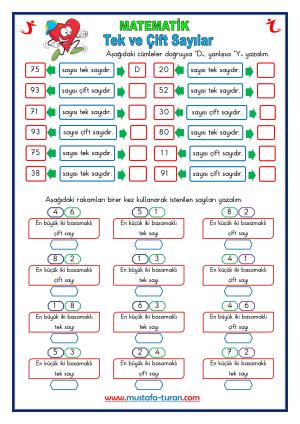 Tek ve Çift Sayılar Etkinlikleri