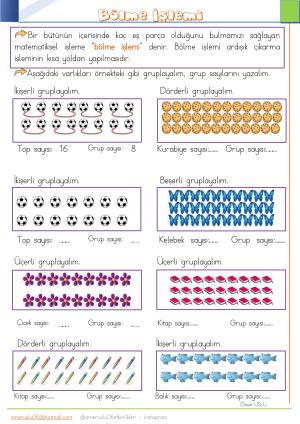 2nd Grade 23rd Week Activities and Studies