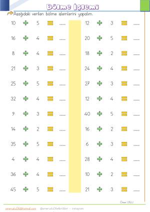 2nd Grade 23rd Week Activities and Studies