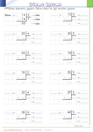 2nd Grade 23rd Week Activities and Studies