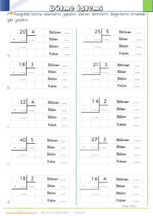 2nd Grade 23rd Week Activities and Studies