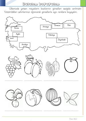 2. Sınıf  12. Hafta Etkinlik ve Çalışmaları