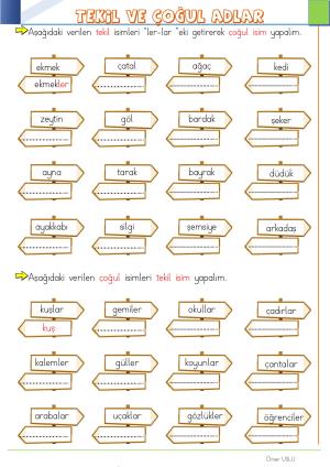 2. Sınıf 15. Hafta Etkinlik ve Çalışmaları