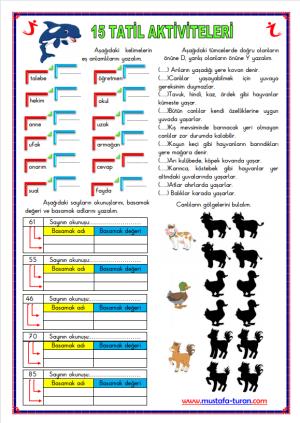 15 Tatil 5. Gün Aktiviteleri ( Etkinlikleri )