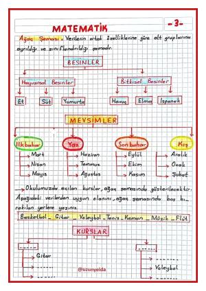  2. Sınıf 32. Hafta Etkinlikleri