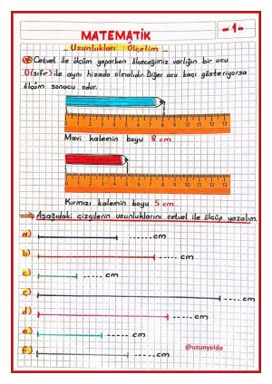  2. Sınıf 34. Hafta Etkinlikleri