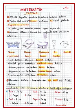  2. Sınıf 35. Hafta Etkinlikleri