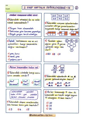 2. Sınıf Haftalık Değerlendirme 16 (2. Dönem 3.Hafta)