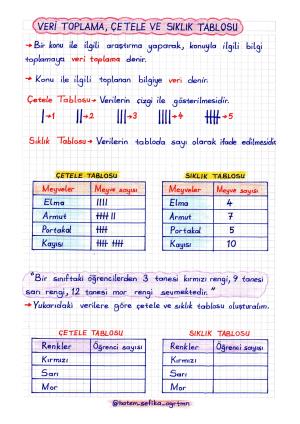 2. Sınıf Matematik  Çetele ve Sıklık Tablosu Konu Anlatımı