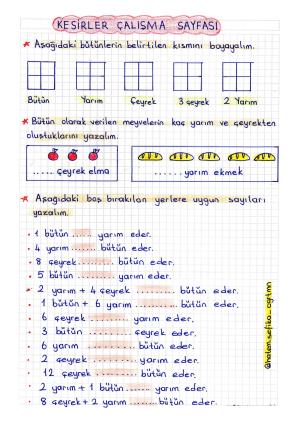 2. Sınıf Matematik Kesirler Çalışma  Etkinliği