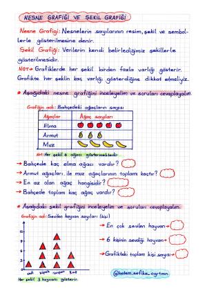 2. Sınıf Matematik Nesne ve Şekil Grafiği Konu Anlatımı